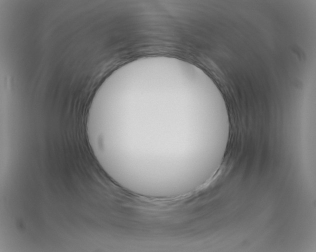 X0000115210045200911121913