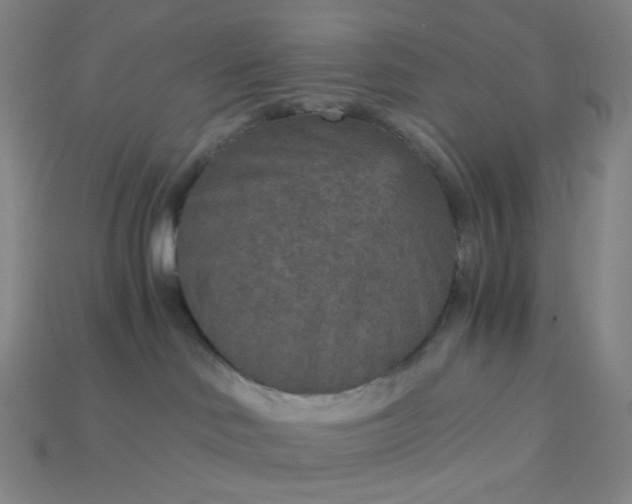 X0000115210046200911121913