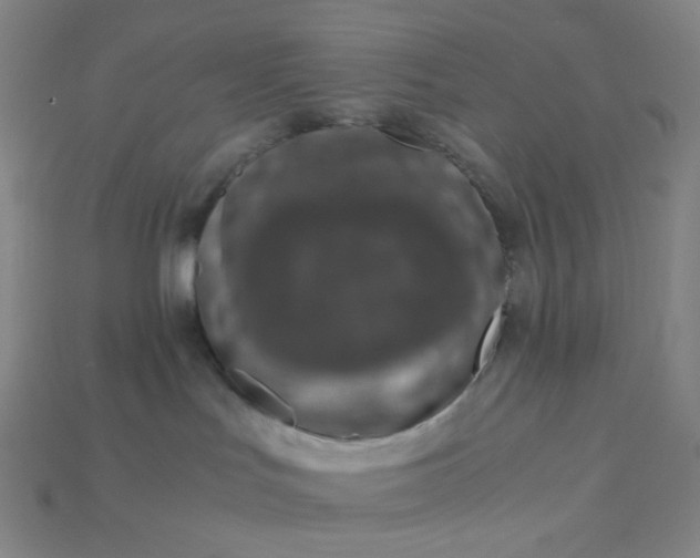 X0000115210047200911121913