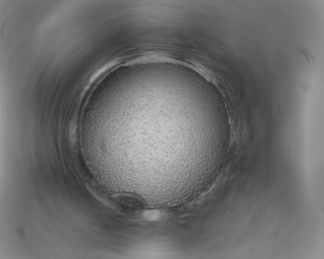 X0000115210050200911121913