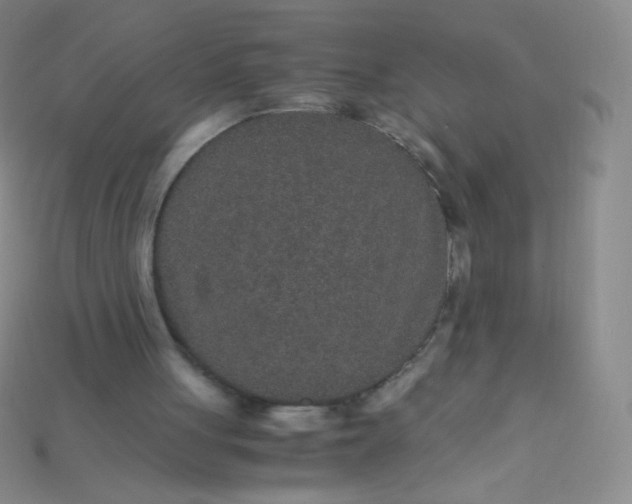 X0000115210051200911121913