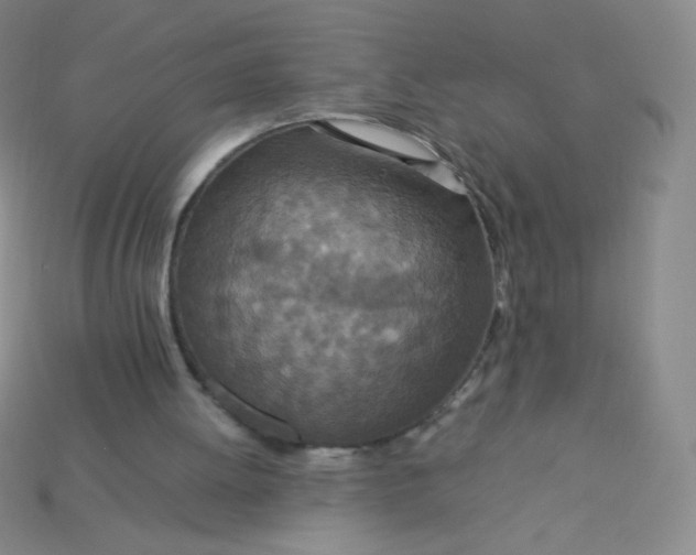 X0000115210052200911121913