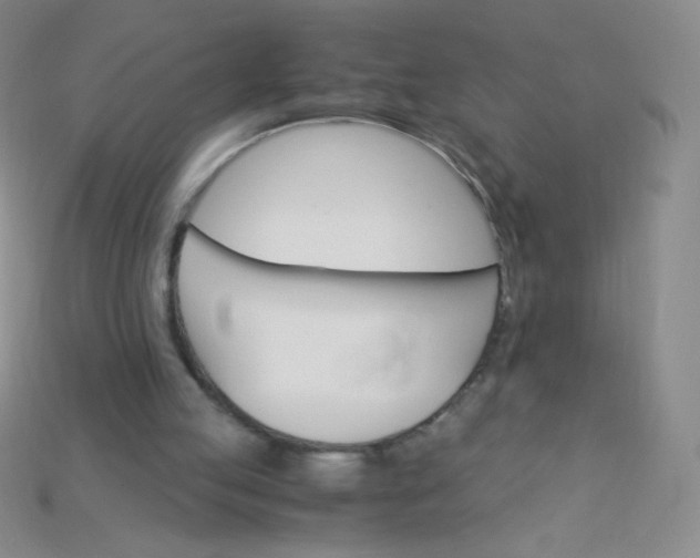 X0000115210053200911121913