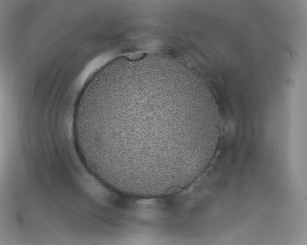X0000115210054200911121913