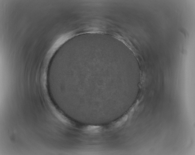 X0000115210055200911121913