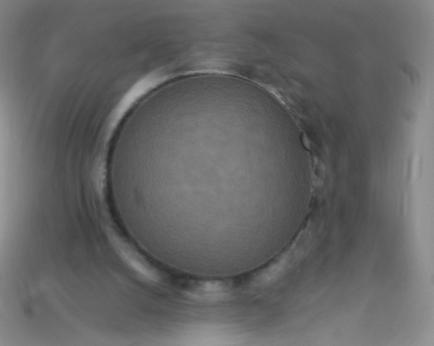 X0000115210056200911121913