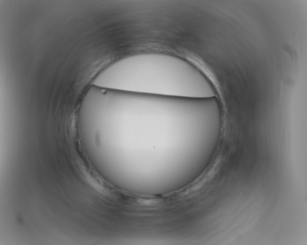 X0000115210057200911121913