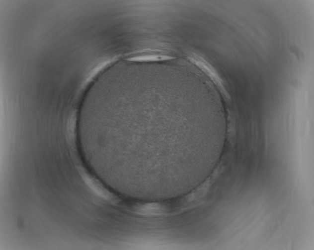 X0000115210058200911121913
