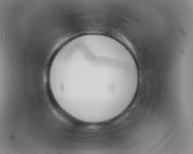 X0000115210059200911121913