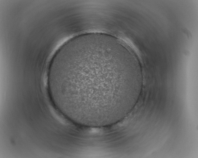 X0000115210060200911121913