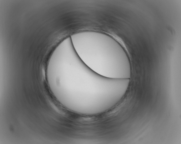 X0000115210061200911121913