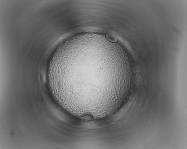 X0000115210062200911121913