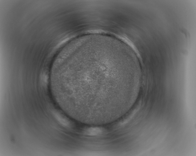 X0000115210063200911121913