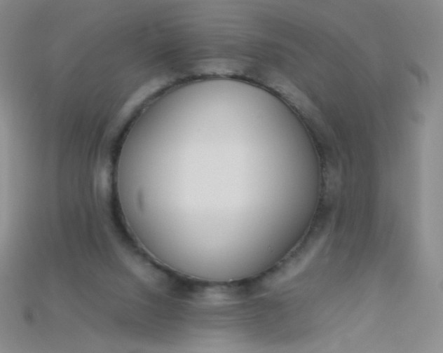 X0000115210064200911121913