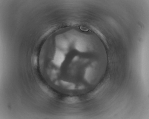 X0000115210067200911121913