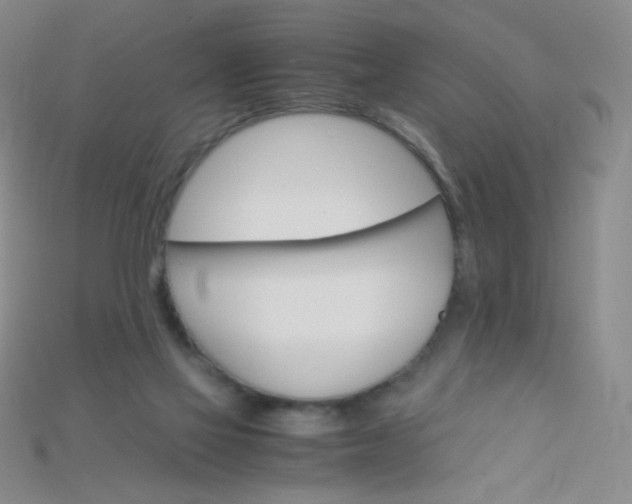 X0000115210069200911121913