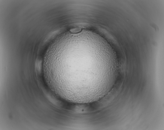 X0000115210070200911121913
