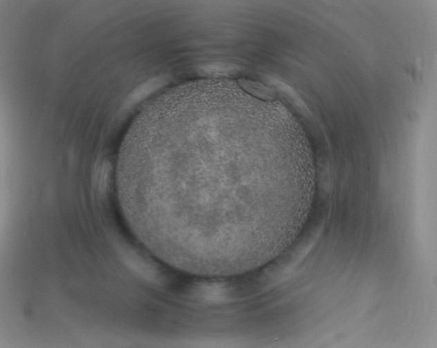 X0000115210071200911121913