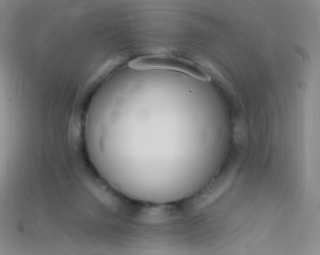 X0000115210072200911121913