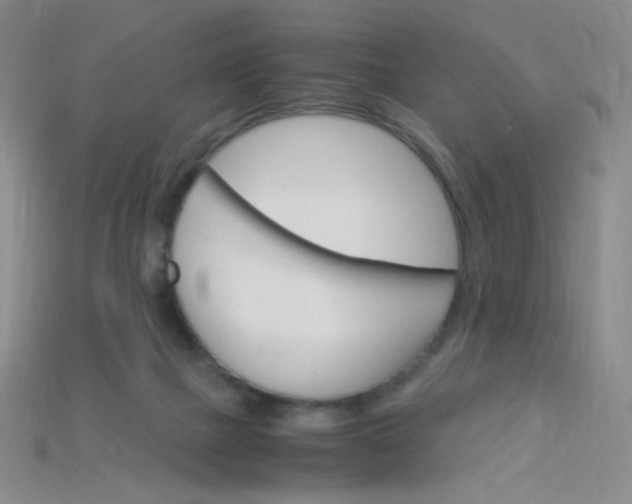 X0000115210073200911121913