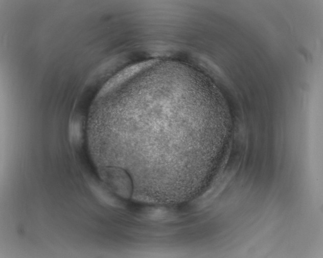 X0000115210074200911121913