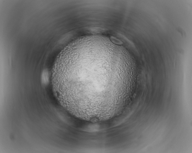 X0000115210075200911121913