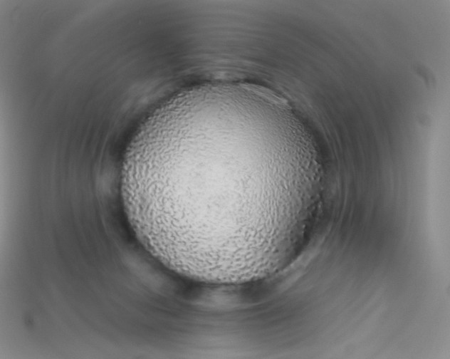 X0000115210078200911121913