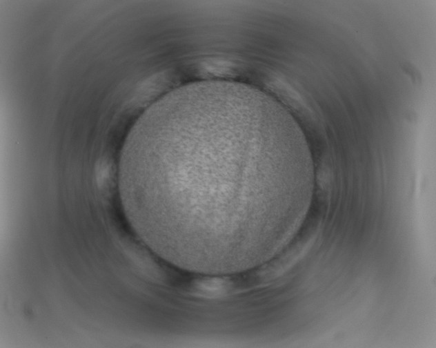 X0000115210079200911121913