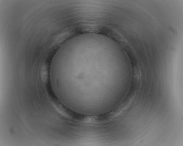 X0000115210080200911121913