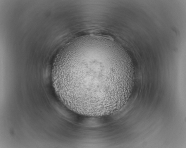 X0000115210082200911121913
