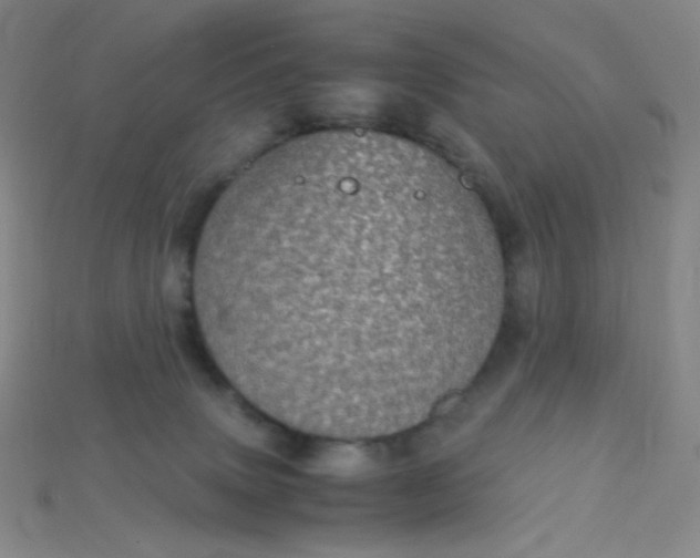 X0000115210083200911121913