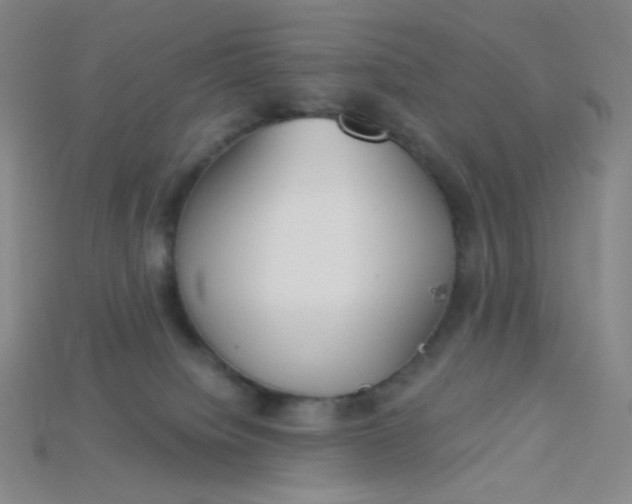 X0000115210084200911121913
