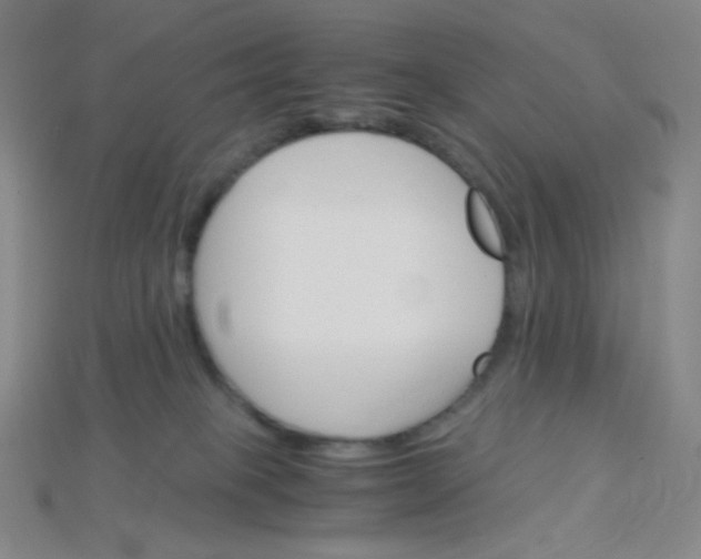 X0000115210085200911121913
