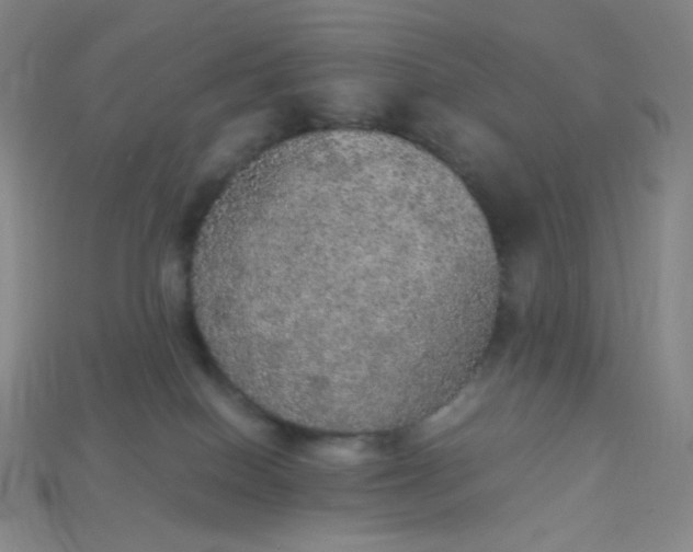 X0000115210086200911121913