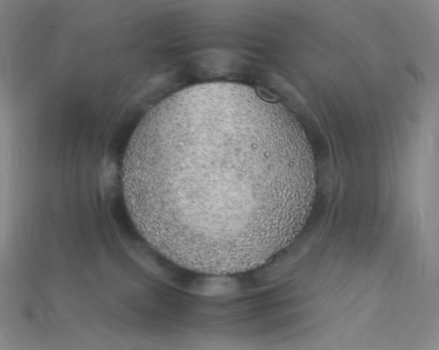 X0000115210087200911121913