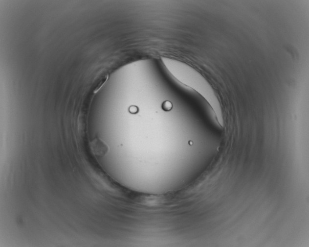 X0000115210088200911121913