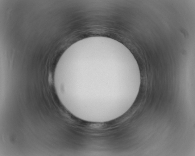 X0000115210089200911121913