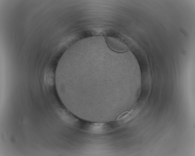 X0000115210090200911121913