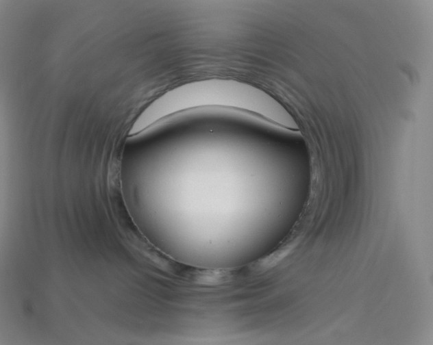 X0000115210096200911121913