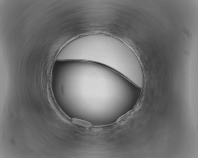 X0000115210097200911121912