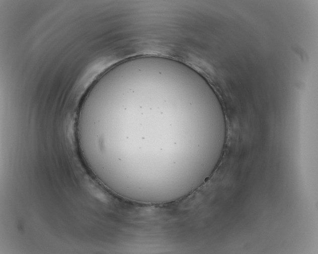 X0000115210098200911121912