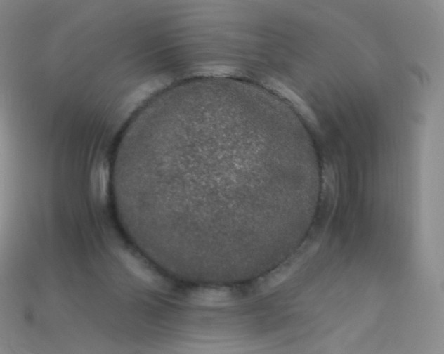 X0000115210110200911121912