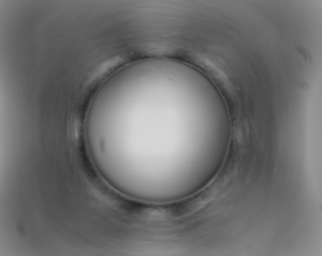 X0000115210115200911121912