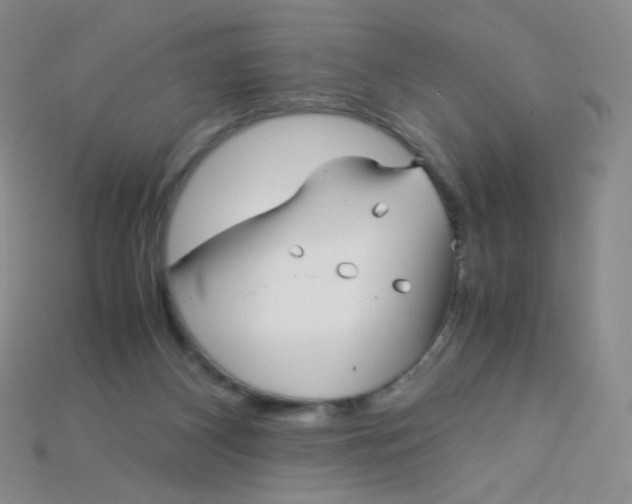 X0000115210116200911121912