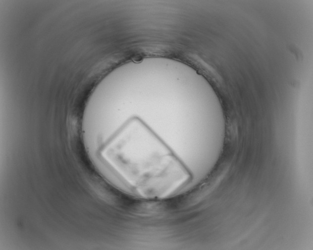X0000115210117200911121912