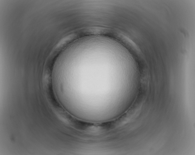 X0000115210119200911121912