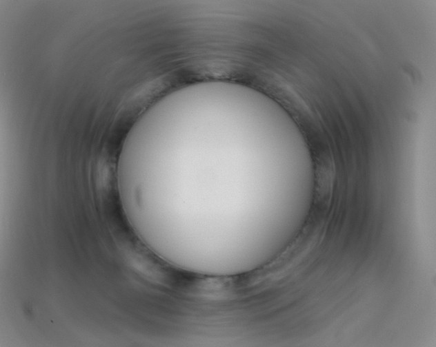 X0000115210126200911121912