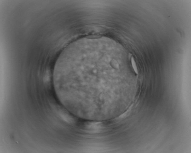 X0000115210132200911121912