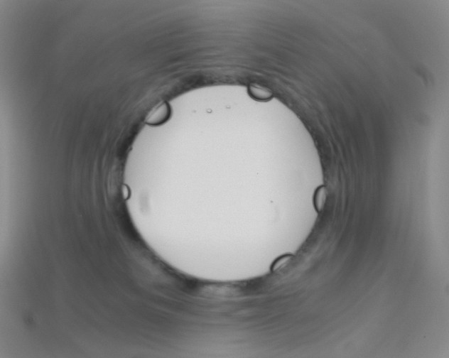 X0000115210133200911121912