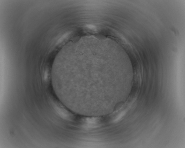 X0000115210134200911121912